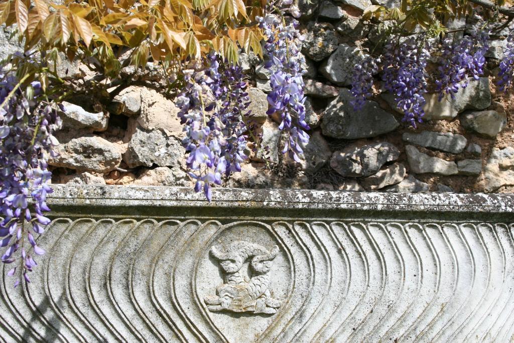 布拉克庄园住宿加早餐旅馆 Varages 客房 照片